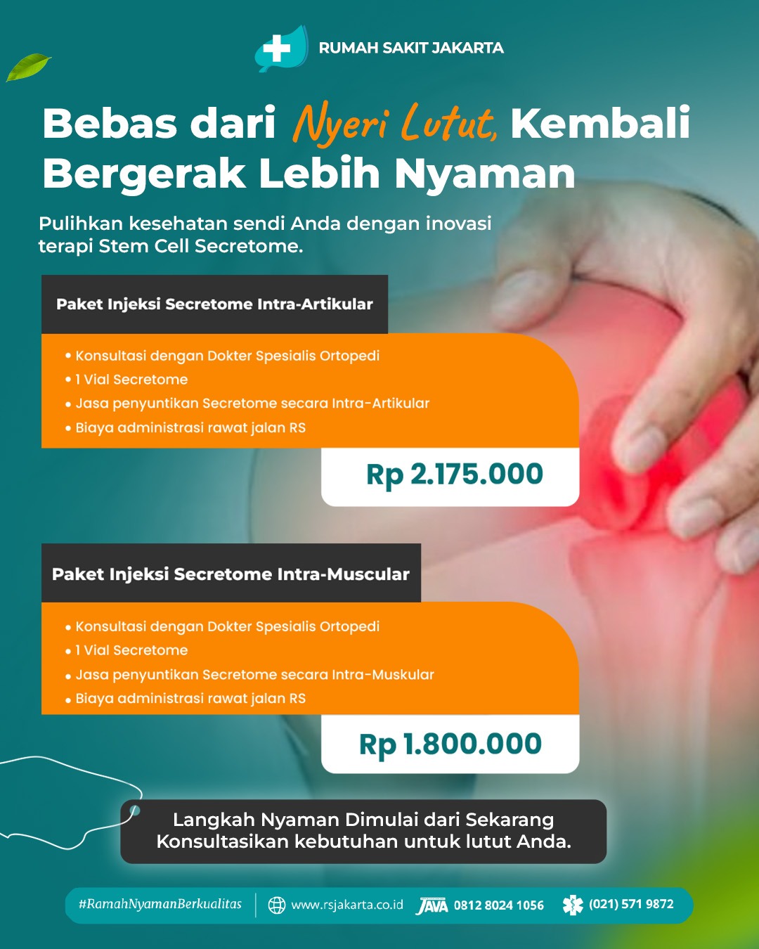 Bebas Nyeri Lutut: Inovasi Terapi Stem Cell & Secretome
